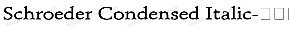 Schroeder Condensed Italic字体转换